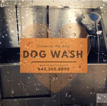 Dog Washing Station